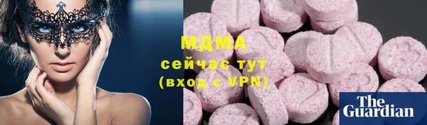 хмурый Аркадак