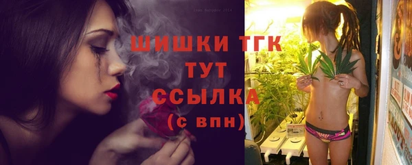 хмурый Аркадак