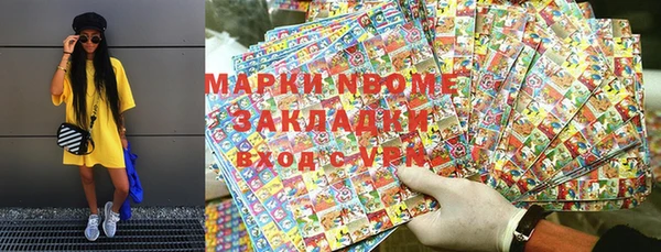 хмурый Аркадак