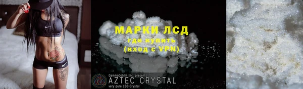 хмурый Аркадак