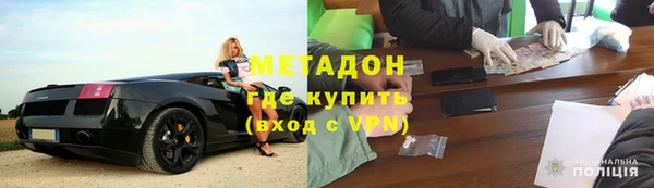 хмурый Аркадак
