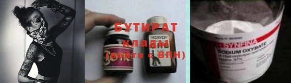 хмурый Аркадак