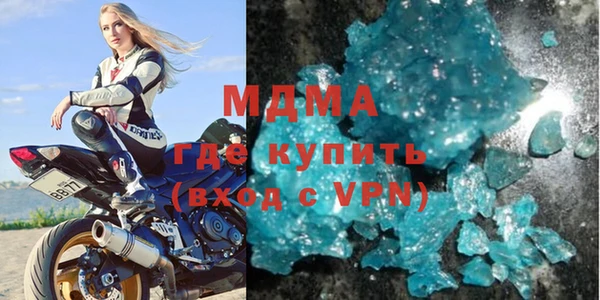 хмурый Аркадак