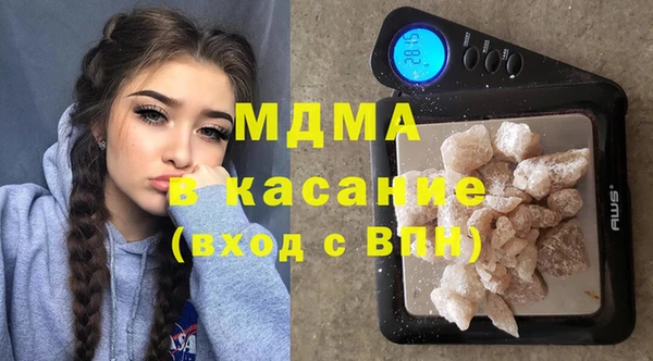 хмурый Аркадак