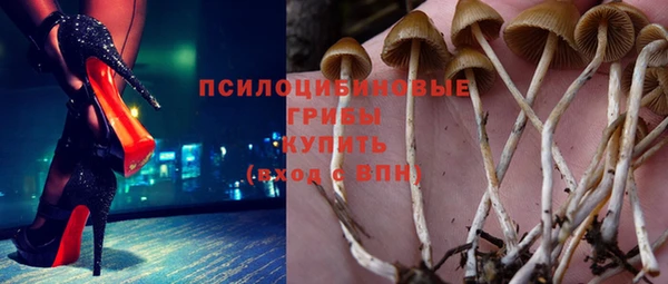 эйфоретик Армянск