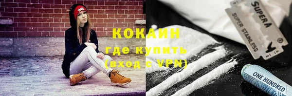 хмурый Аркадак